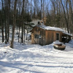 Cabane à Sucre Végé