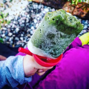 Popsicle vert été